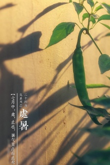 24 solar terms and summer mobile wallpaper