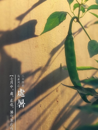 24 solar terms and summer mobile wallpaper