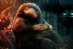 Fantastic Beasts 3 Sniff computer wallpaper