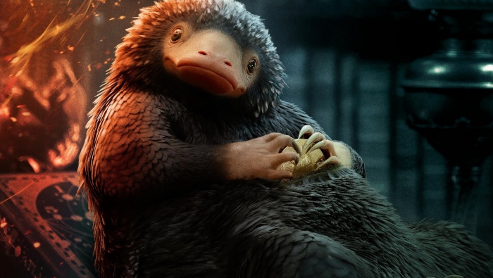 Fantastic Beasts 3 Sniff computer wallpaper