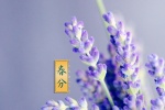 高清24节气春分图片桌面壁纸