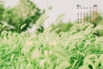April 2022 small fresh flowers calendar wallpaper picture
