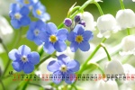 May 2021 fresh flowers and plants desktop calendar wallpaper