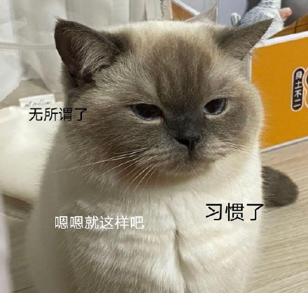 煤老板可爱表情包汇总