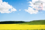 2022年4月护眼油菜花桌面日历壁纸
