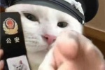 Kitten police funny emoticon picture