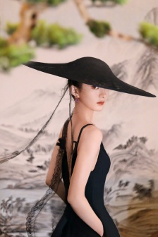 Zhao Liying's freehand national style fashion photo pictures