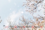 2021年10月好看花朵清新日历壁纸