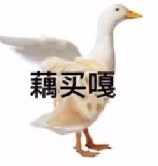 嘎言嘎語實用表情包