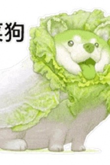 Summary of CaiGou expression packs