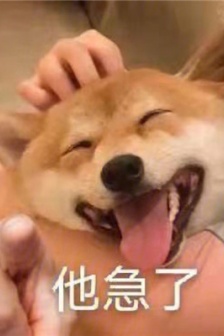 Dog pointing at people emoticon picture