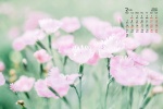February 2022 park flowers and leaves desktop calendar wallpaper