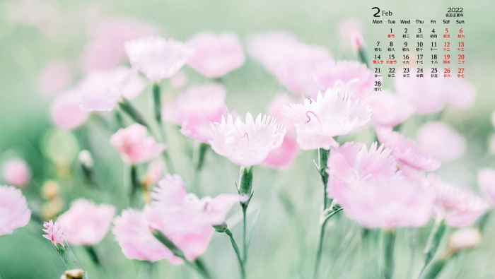 February 2022 park flowers and leaves desktop calendar wallpaper