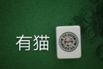 有猫（毛）病