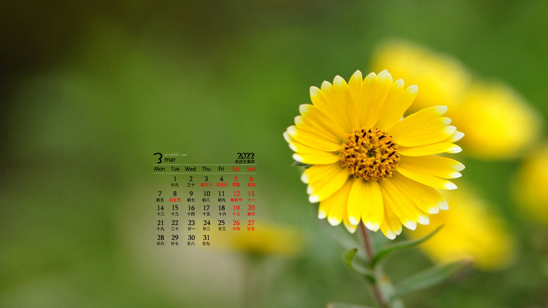2022年3月黄色花朵清新桌面日历壁纸