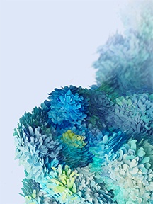 三星s20原生壁纸