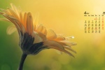 Eye-protecting green floral desktop calendar wallpaper for April 2021