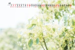April 2022 green theme landscape calendar wallpaper
