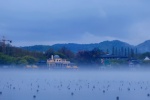 West Lake advection fog mobile wallpaper