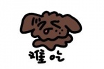 巧克力小狗难吃表情包