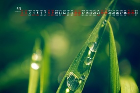 May 2021 Vision Protection HD Desktop Calendar Wallpaper