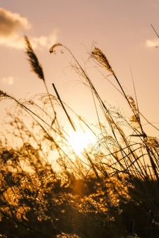 Beautiful sky scenery beautiful mobile wallpaper