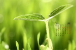 March 2022 eye-protecting green landscape desktop calendar wallpaper