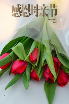 Mother's Love Day poster material HD picture collection