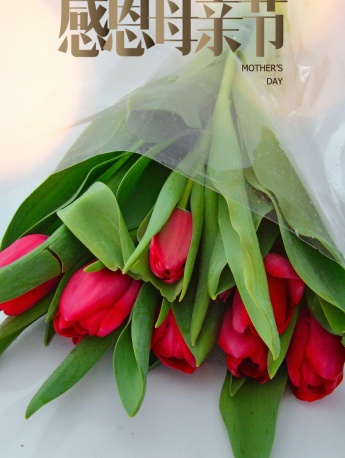 母愛節海報素材高清圖片大全