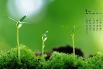 Eye-protecting green plant calendar wallpaper for January 2022