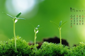 Eye-protecting green plant calendar wallpaper for January 2022