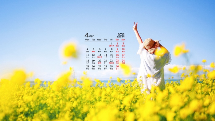 April 2022 eye-protecting rapeseed flower desktop calendar wallpaper