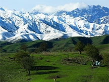 初夏的新疆伊犁风景