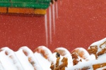 Forbidden City snow scenery mobile wallpaper