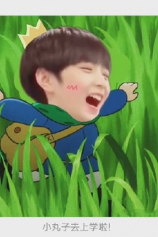 Liu Yaowen Prince Poji theme emoticon pack