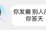 你发癫别人问地你答天