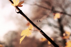 Beginning of Autumn Hello Beautiful Scenery Desktop Wallpaper