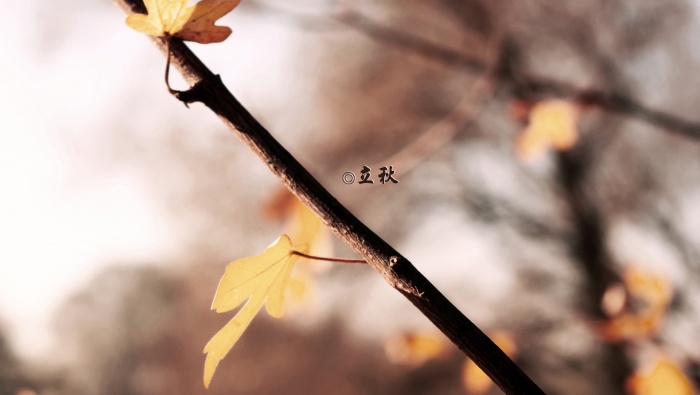 立秋你好唯美風景桌麵壁紙