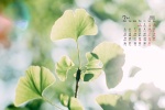 July 2021 small fresh green floral desktop calendar wallpaper