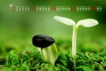Fresh eye-protecting desktop calendar wallpaper for August 2021