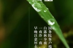 二十四节气白露手机壁纸