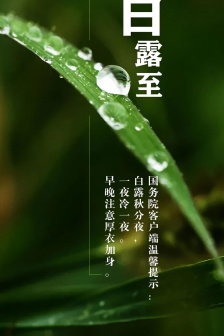 Twenty-four solar terms white dew mobile wallpaper