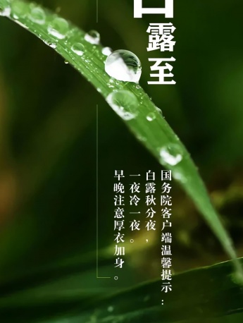 二十四節氣白露手機壁紙