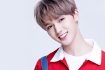 Zhu Zhengting computer desktop wallpaper