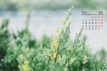 July 2021 small fresh green floral desktop calendar wallpaper
