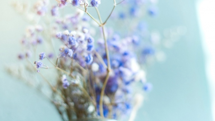 Fresh and elegant starry sky pictures desktop wallpaper