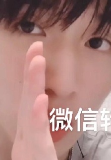 嚴浩翔微信轉帳表情包