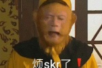 烦skr了表情包