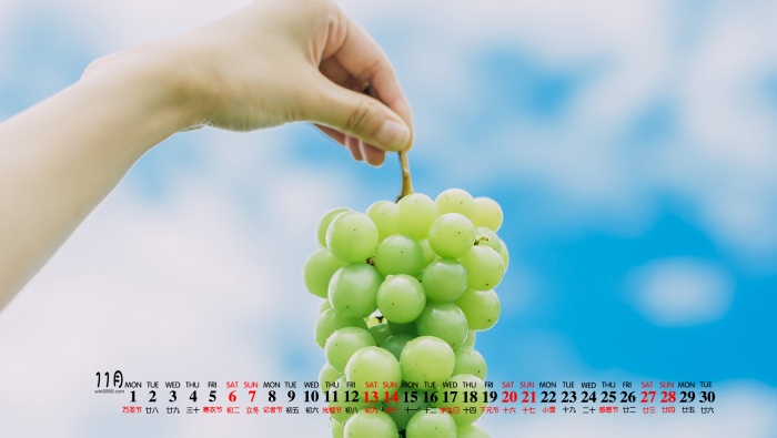 2021年11月美食美景高清日历壁纸