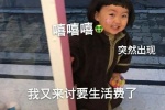 嘻嘻嘻（突染出现）我又来讨要生活费了表情包